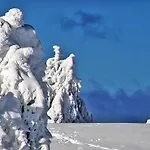 Pur Pikovo Črna na Koroškem