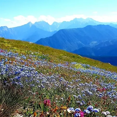 Feriehus Pur Pikovo *