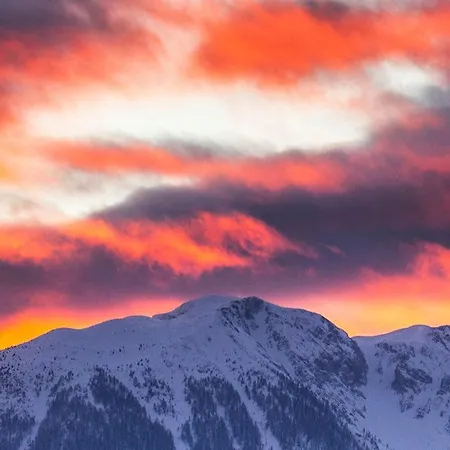 Pur Pikovo * Crna na Koroskem