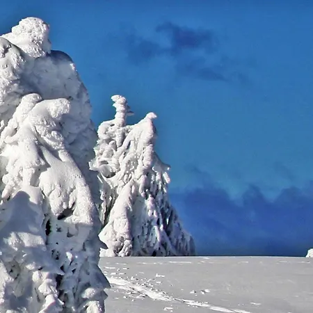 Pur Pikovo Crna na Koroskem
