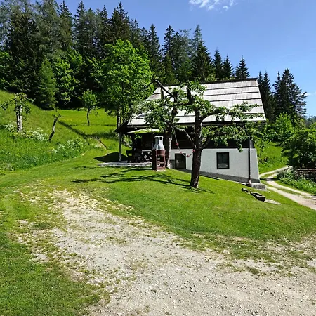 Pur Pikovo * Crna na Koroskem