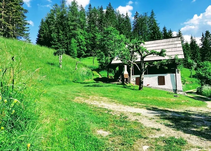 Pur Pikovo Vikendica Crna na Koroskem