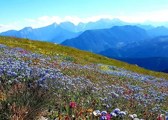 Vikendica Pur Pikovo *