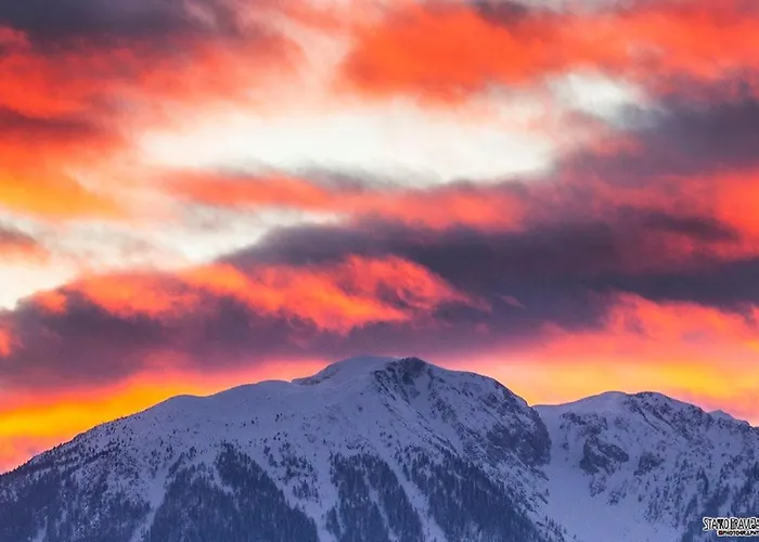 Pur Pikovo * Crna na Koroskem